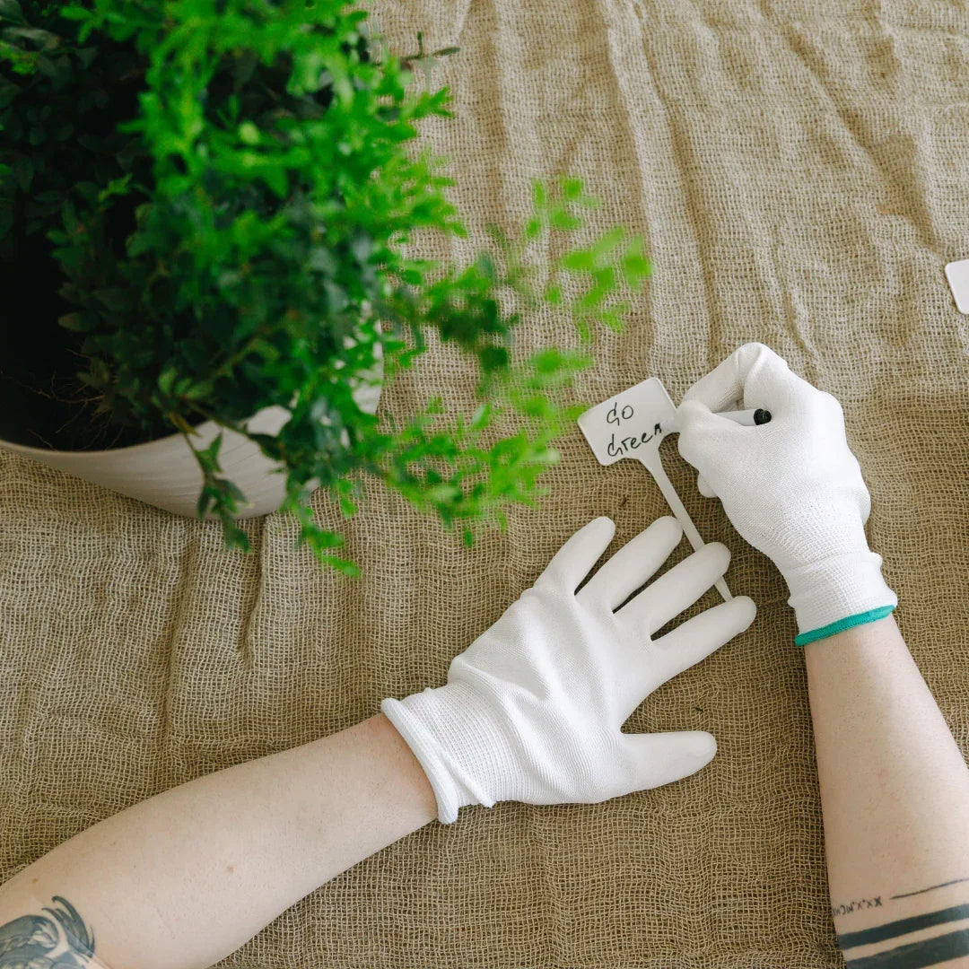 Person wearing white gloves holding a small plant with a tag on a textured surface.